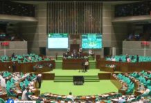 সংসদে বিরল ইতিহাস, সরকারি দলের এমপির মুলতবি প্রস্তাব গ্রহণ