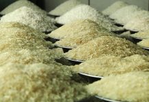 ১৫ টাকা কেজি দরে চাল পাচ্ছে ৫৫ লাখ পরিবার