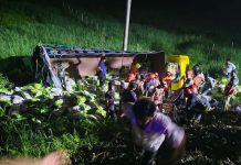 দাউদকান্দিতে ট্রাক খাদে পড়ে নিহত ৭