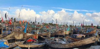 মাছের প্রজনন রক্ষায় সাগরে ৫৮ দিনের নিষেধাজ্ঞা