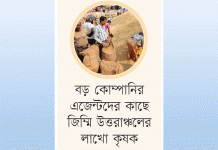 সিন্ডিকেটের থাবা ধানের বাজারেও