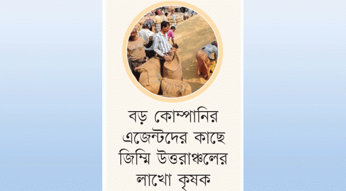 সিন্ডিকেটের থাবা ধানের বাজারেও
