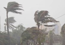 ৯ জেলায় দুপুরের মধ্যে ঝড়ের শঙ্কা
