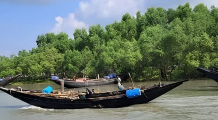 একের পর এক জেলে অপহরণ, উপকূলজুড়ে আতঙ্ক
