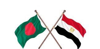 বাংলাদেশিদের জন্য মিসর দূতাবাসের নতুন ভিসা ফি ঘোষণা