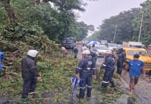 ঝড়ে লণ্ডভণ্ড পশ্চিমবঙ্গ, নিহত ৮