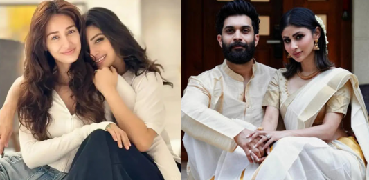 মৌনীর সংসার ভাঙার নেপথ্যে দিশা পাটানি, শুধুই কি রটনা?