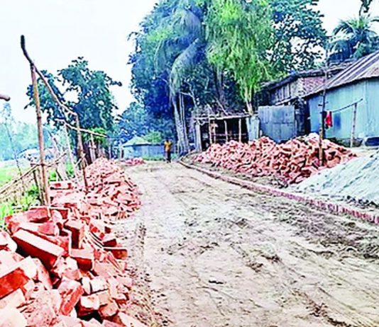 গাবতলীতে প্রধানমন্ত্রীর বাড়ির সংযোগ সড়ক রাস্তায় ভাড়ায় বিছানো ইট তুলে নিলেন ঠিকাদার