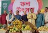জাতীয় প্রেস ক্লাবে দেশি ফলের প্রদর্শনী অনুষ্ঠিত