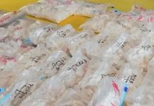 প্রশান্ত মহাসাগরে ৬ টনেরও বেশি কোকেন জব্দ