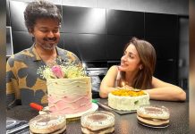 গুঞ্জন উড়িয়ে জন্মদিনে বিজয়কে শুভেচ্ছা তৃষার, ছবি ভাইরাল