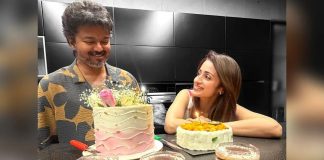 গুঞ্জন উড়িয়ে জন্মদিনে বিজয়কে শুভেচ্ছা তৃষার, ছবি ভাইরাল