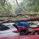 ঝড়-বজ্রপাতে লণ্ডভণ্ড পশ্চিমবঙ্গ, ১৩ জনের মৃত্যু