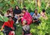 দর্শনা সীমান্তে পুশইনের সময় নারী ও শিশুসহ আটক ১০