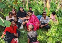 দর্শনা সীমান্তে পুশইনের সময় নারী ও শিশুসহ আটক ১০