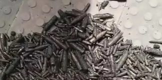 চট্টগ্রামে নালা থেকে ১৩৫০ বুলেট উদ্ধার