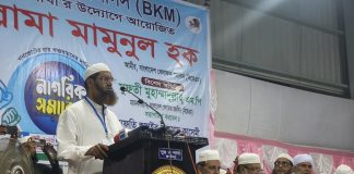গণভোটের রায় বাস্তবায়ন ছাড়া সংসদ চলতে পারে না: মামুনুল হক