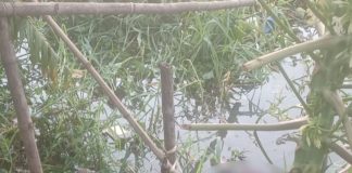 চর দখল নিয়ে গ্রামবাসীর মধ্যে টেঁটাযুদ্ধে নিহত ১