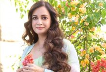 কসমেটিক সার্জারি সম্পর্কে যে কথা বললেন দিয়া মির্জা