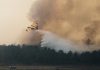 ফ্রান্সে ৭৬ বছরের মধ্যে সবচেয়ে ভয়াবহ দাবানল নিয়ন্ত্রণে