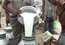 যেভাবে তৈরি হচ্ছে নকল দুধ অনলাইন ডেস্ক