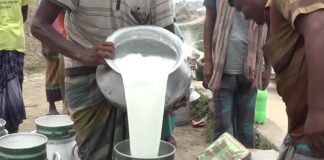 যেভাবে তৈরি হচ্ছে নকল দুধ অনলাইন ডেস্ক