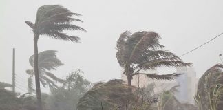 সন্ধ্যার মধ্যে যেসব জেলায় হতে পারে ঝড়