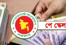 নতুন পে স্কেল : তিন ধাপে বাড়বে মূল বেতন