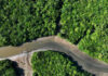 আমাজনের বন উজাড় রেকর্ড পরিমাণে কমাল ব্রাজিল