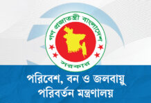সেন্ট মার্টিনে রাতযাপন নিয়ে যা জানাল পরিবেশ মন্ত্রণালয়